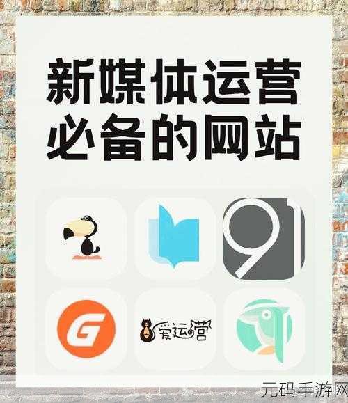 91传媒视频：1. ＂91传媒独家揭秘：如何打造高效的内容创作团队