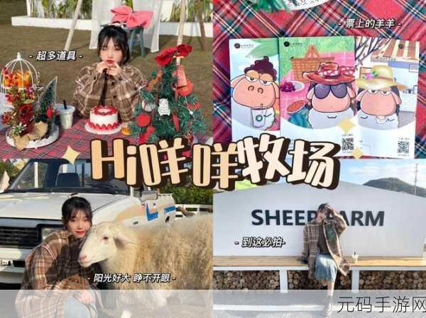 顶级跑马牧场攻略：1. 《顶级跑马牧场攻略：从入门到精通的全面指南