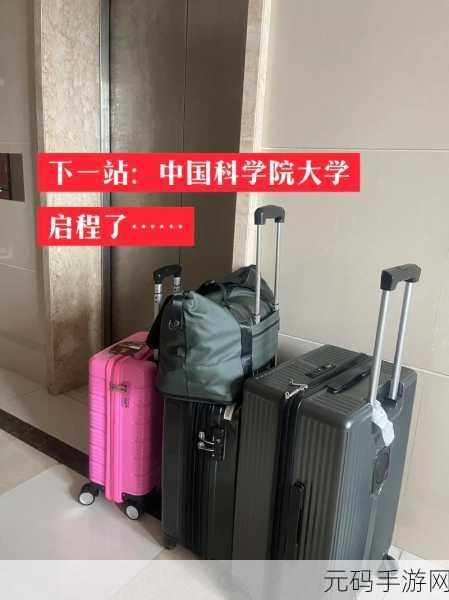 重返青春校园,体验下一站我的大学的奇妙大学生活