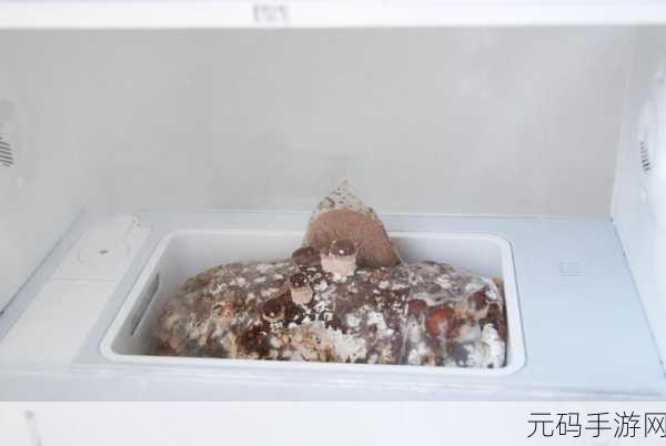 蘑菇视频隐藏路线：1. 蘑菇视频：揭秘隐藏路线的探索乐趣