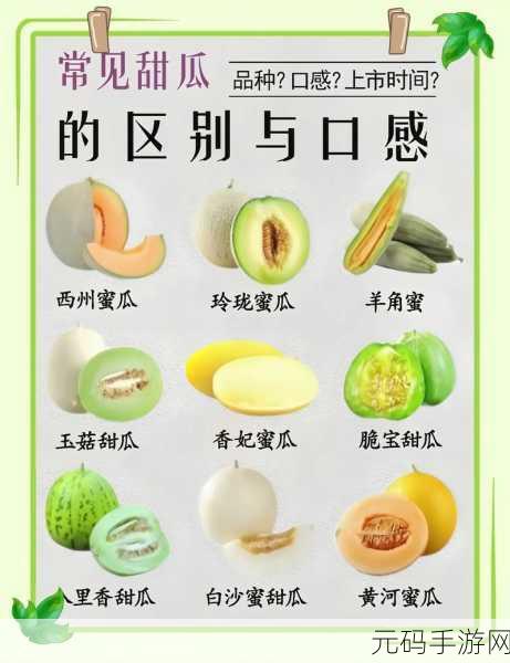 今日吃瓜每日必吃:1. 今日吃瓜:盘点每日必吃的美味新选择