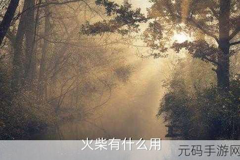 18半夜免费观看网站:当然可以,以下是一些关于"18半夜免费观看网站"的标题建议: