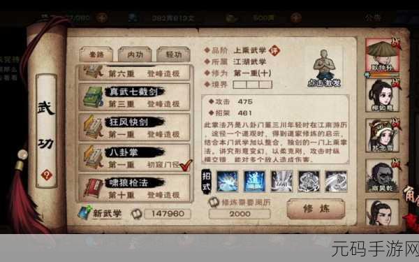 烟雨江湖，进阶拳法的深度剖析与最佳选择指南