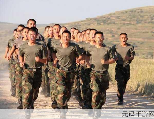 退伍兵召回最新消息:1. 退伍兵召回政策新动向,未来将如何影响军队?