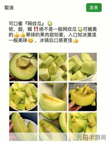 五一吃瓜网黄色：1. 五一假期畅享美食，吃瓜网带你领略美味盛宴