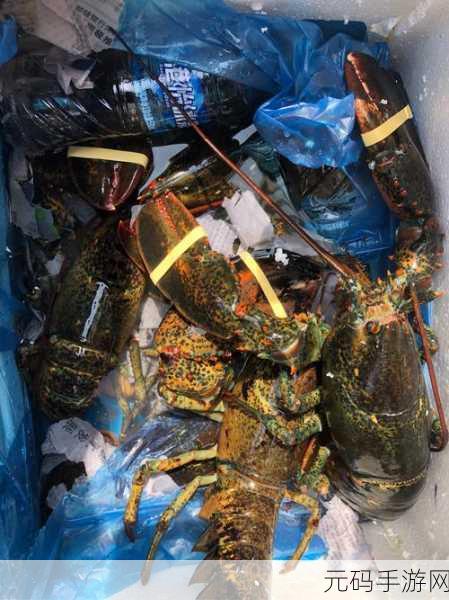 五一吃瓜网黄色：1. 五一假期畅享美食，吃瓜网带你领略美味盛宴