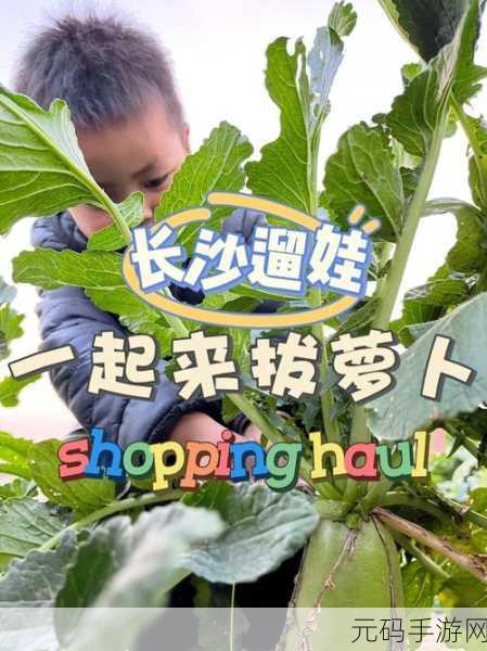 二人拔萝卜软件：1. 二人合力拔萝卜，团结协作的乐趣