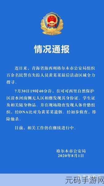 by永不失联数字