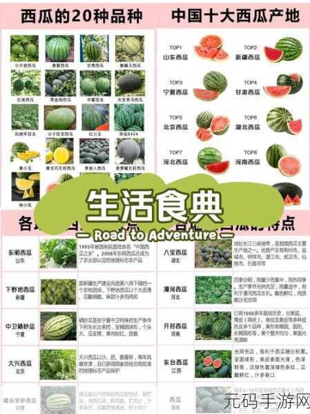 51cg热门吃瓜必吃大瓜：1. 吃瓜界的新热潮，揭秘51cg的美味秘密！