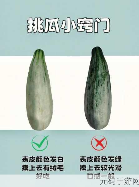 51cg热门吃瓜必吃大瓜：1. 吃瓜界的新热潮，揭秘51cg的美味秘密！