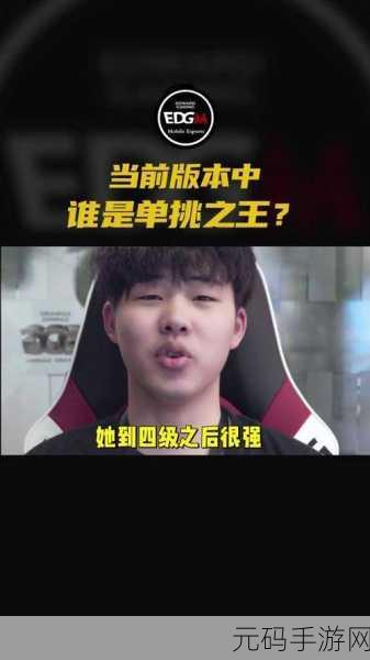 王者荣耀,VG 首战溃败,EDGM 零封背后的浪浪干将惊人伤害