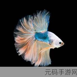 孔雀鱼跃动指尖，探索养成冒险新纪元，我的孔雀鱼下载热潮席卷而来