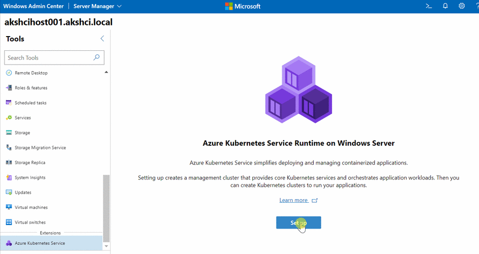 日本windowsserver分类：好的，以下是一些关于日本Windows Server的分类和扩展
