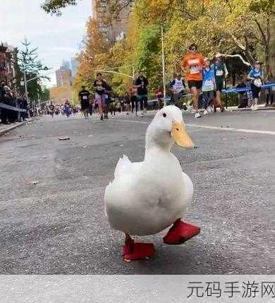 萌趣来袭!奔跑的鸭子无广告版清爽上线,尽享跑酷乐趣