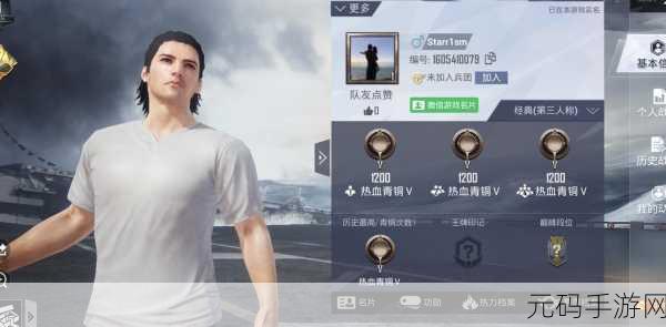 和平精英实名认证重验秘籍,畅玩游戏无阻碍