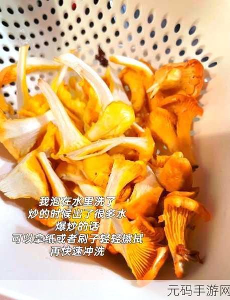 幻塔炒蘑菇烹饪秘籍 美味做法全解析