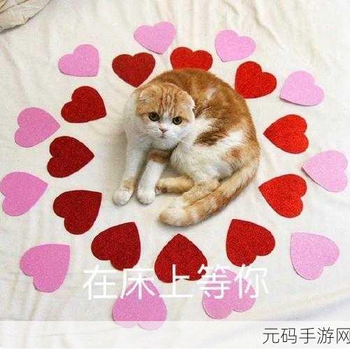 萌宠集结号!拯救猫星人带你领略趣味无穷的卡通休闲之旅