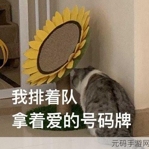 萌宠集结号!拯救猫星人带你领略趣味无穷的卡通休闲之旅