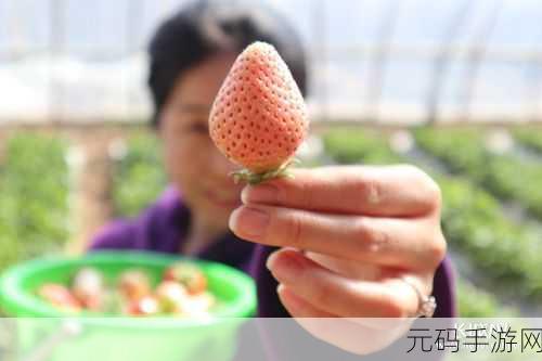草莓视频免费_“”高清无码:1. 探索草莓视频:解锁高清视听新体验