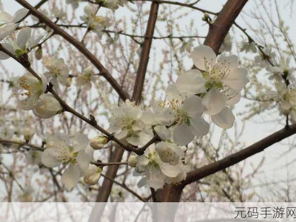 hl155.ccm黑料:1. 深度揭秘:hl155.ccm背后的秘密与故事