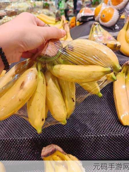 18香蕉视频：1. 轻松享受生活：18香蕉视频的无限乐趣