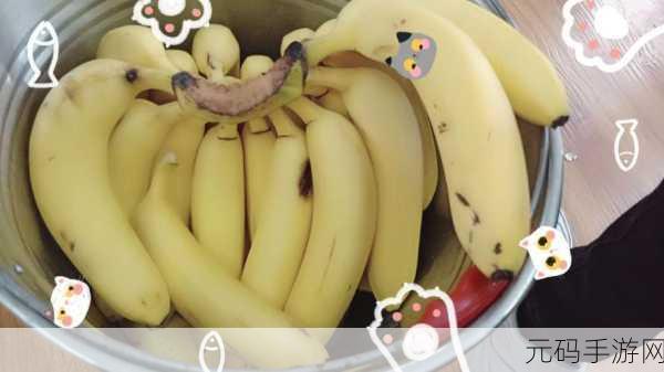 18香蕉视频：1. 轻松享受生活：18香蕉视频的无限乐趣