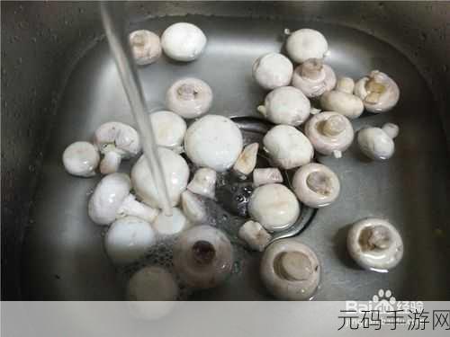 400大看免费行情的软件：1. 免费行情软件推荐：400大看带你了解市场走势