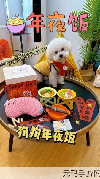 哪些春节宠物加技能：1. “春节宠物新技能：让你的萌宠更受欢迎！”