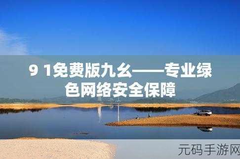 九幺黄高危风险9:1. 九幺黄高危风险:全面解析与应对策略