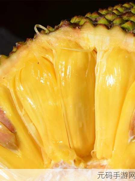 菠萝蜜视频高清免费看亮点：1. 菠萝蜜视频：畅享高清视听盛宴，精彩无限