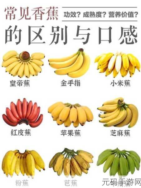 香蕉APP 在线观看:以下是一些关于香蕉APP的新的标题建议,均不少于10个字: