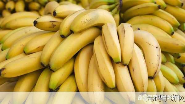 精品香蕉视频：1. 享受极致视觉盛宴的精品香蕉视频