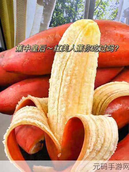香蕉视频 阅读:1. 探索香蕉视频:如何在娱乐中找到灵感