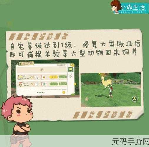 小森生活,解锁飞行点秘籍大公开