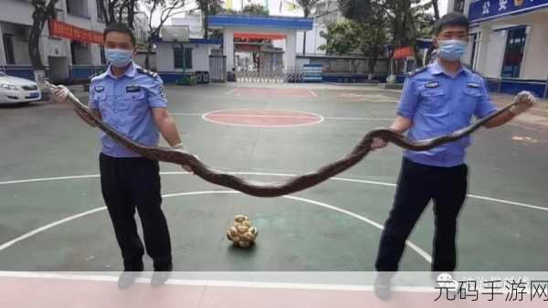 广西深山惊现大蛇精：1. 广西深山异事：惊现巨型蛇精引发热议