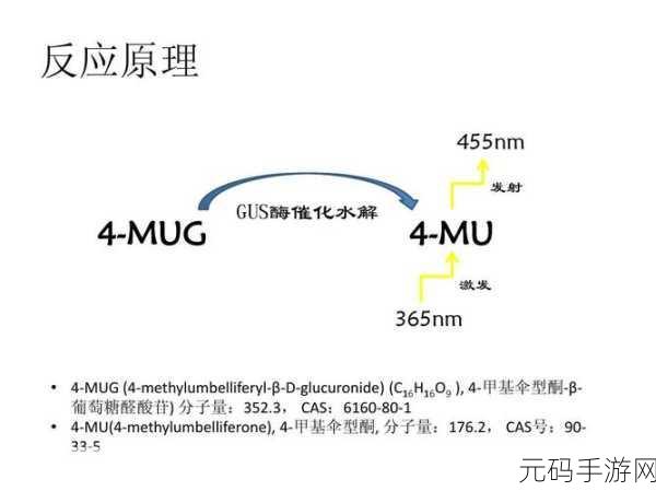 gusactivator Pro a12：当然可以，以下是关于“gusactivator Pro a12”的一些新标题建议：