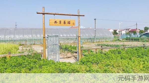 爷爷的小农院,重温田园梦,经营农场轻松赚钱之旅