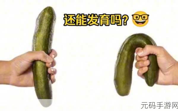 男生的坤坤戳桃子流牛奶:1. 男生坤坤:桃子流牛奶的奇妙故事