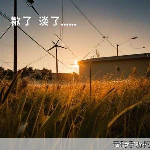 要是沒有碼就完美了:1. 如果没有限制,生活将会更美好