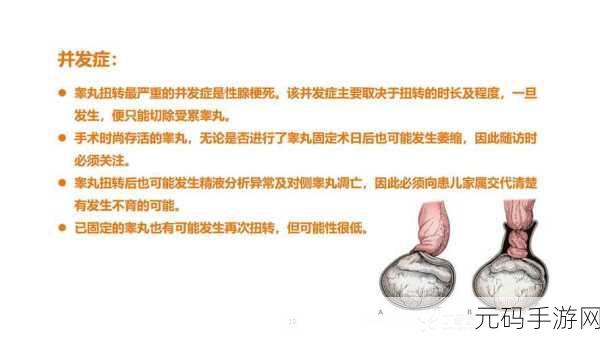 小孩半夜被女孩吃睾丸正常吗:1. 小孩半夜被女孩吃睾丸的奇异事件探讨