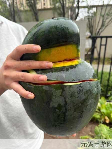 51每日必吃大瓜热门top1：1. ＂深度剖析：51每日必吃大瓜的背后故事