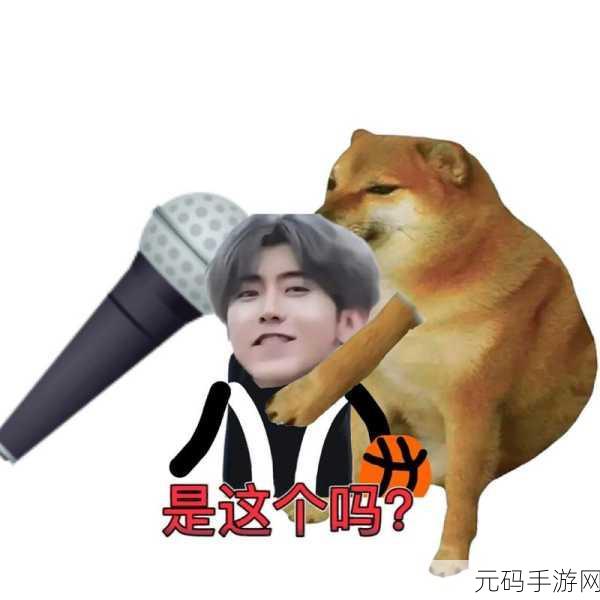 坤巴对嘴巴：1. “坤巴解密：嘴巴的多重功能与潜力”