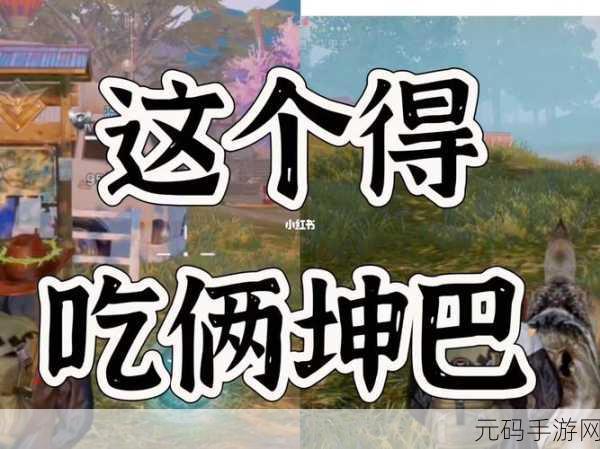 坤巴对嘴巴：1. “坤巴解密：嘴巴的多重功能与潜力”