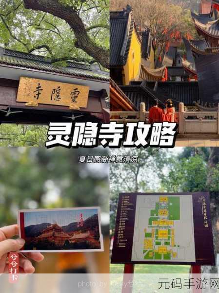 电子木鱼放置新纪元,修仙解压,指尖轻敲的禅意之旅