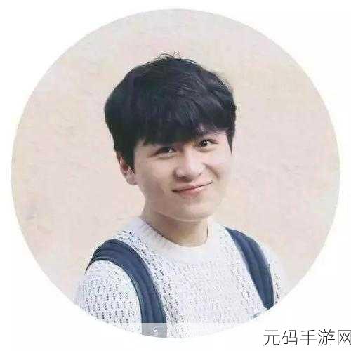 穿越四季迷雾，解锁古风解谜新篇章，四季轮回最新版震撼发布