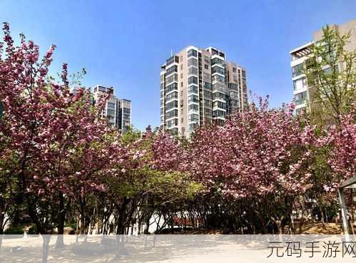樱花小镇世界，探索无限自由的小镇生活，完整版现已开放下载