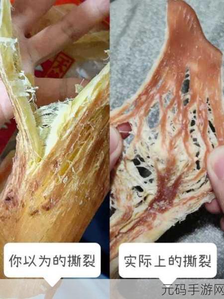 芒果一区隐藏人口：芒果一区人口隐秘增长现象分析与探讨