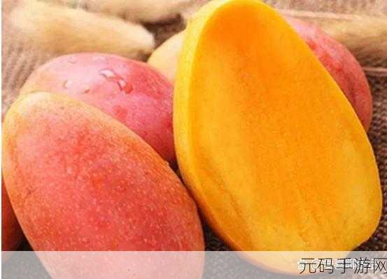 芒果一区隐藏人口：芒果一区人口隐秘增长现象分析与探讨