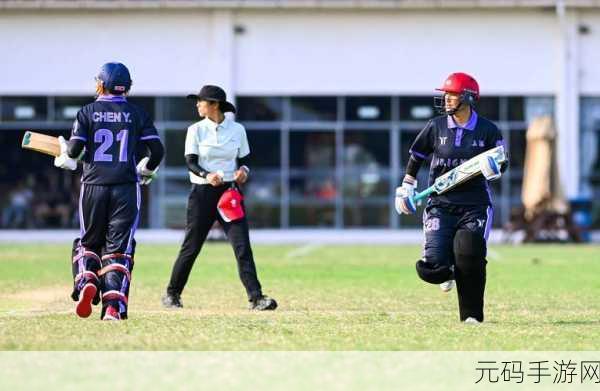 街头板球锦标赛震撼来袭——体验真实板球竞技的魅力