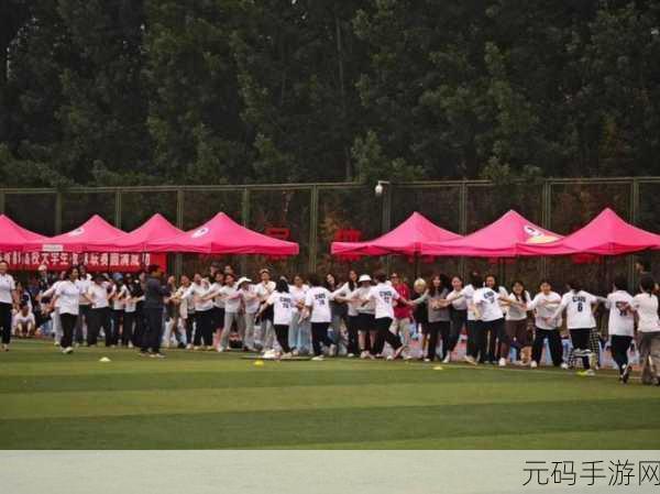 街头板球锦标赛震撼来袭——体验真实板球竞技的魅力